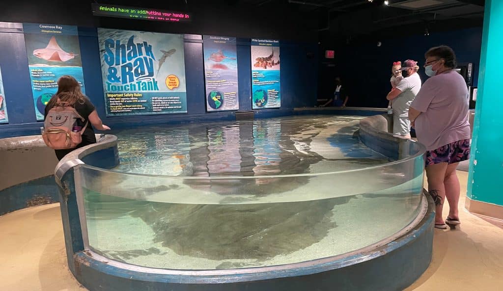 Permanent Exhibits Birmingham, AL McWane Science Center