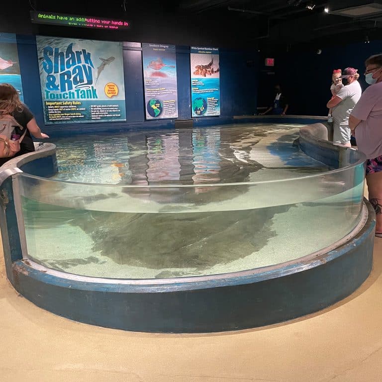 World of Water Aquariums Birmingham, AL McWane Science Center