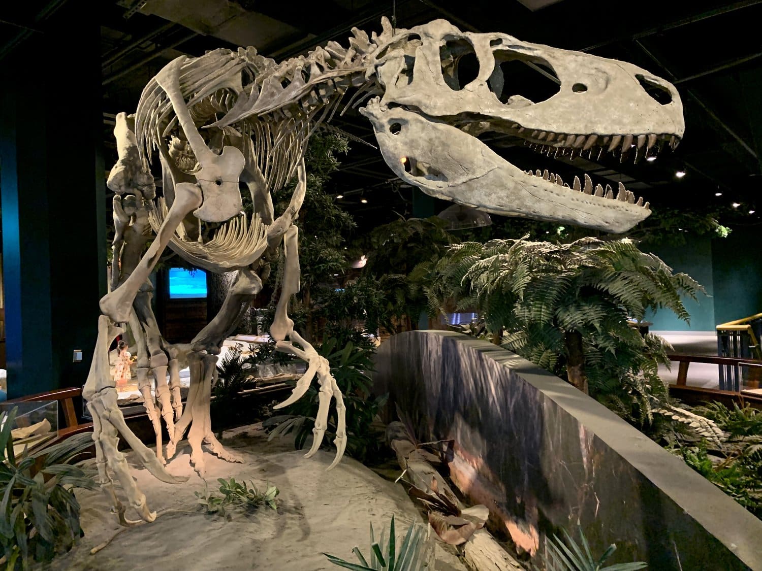 T. rex dinosaur skeleton towering in children's science center exhibit with jungle plants and interactive displays