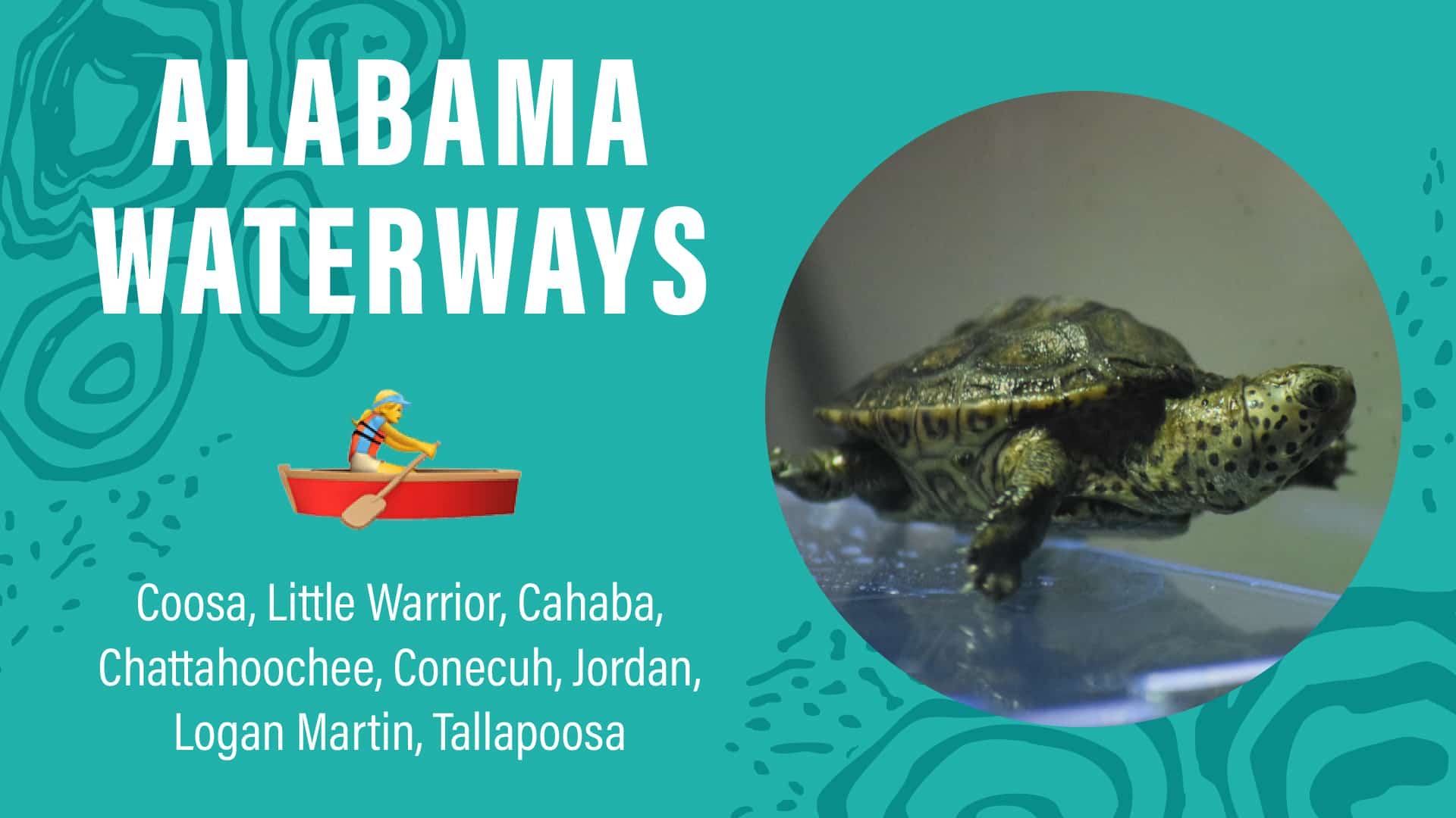 Text about Alabama Waterways with a turtle and a canoe illustration.