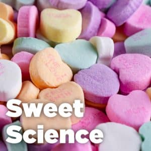 Sweet Science