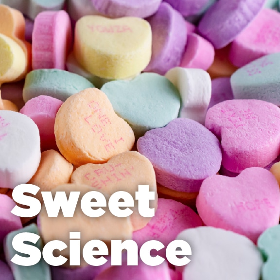 Sweet Science