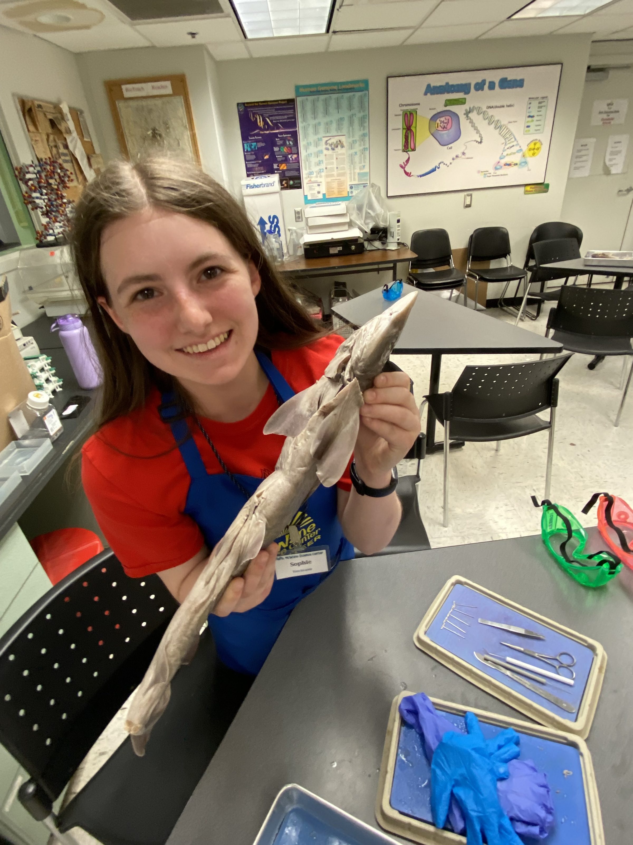 A woman educator holds a shark specimen during a children’s science center dissection lab, with tools and goggles on table.