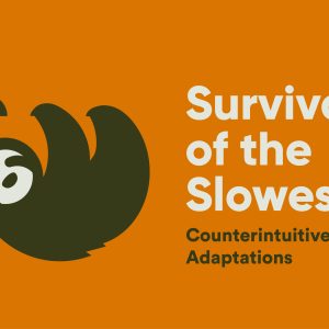 Children's science center exhibit: Survival of the Slowest poster with sloth, counterintuitive adaptations.