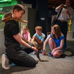 Educator holds a large snake as children watch and touch during a science center reptile encounter.