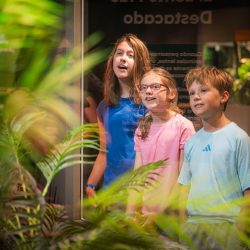 Three children watch a rainforest habitat exhibit at a children's science center, learning about plants and animals.