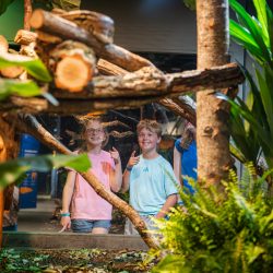 Two children at a science center watch a snake in the rainforest habitat exhibit, smiling and pointing behind glass