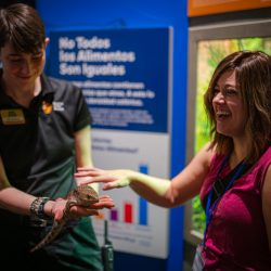 Children's science center educator holds a lizard as a woman pets it during a hands-on reptile exhibit.